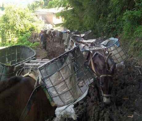 天河区马帮搬运