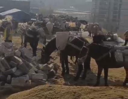 天河区马队山路运输