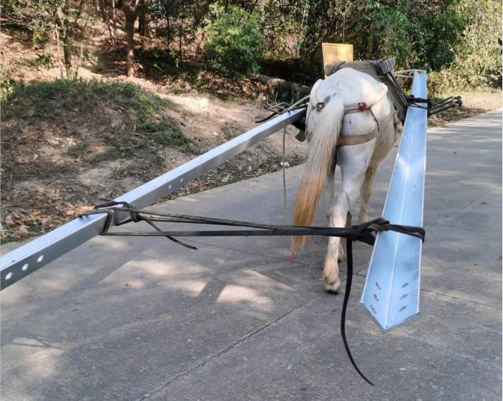 天河区马队搬运