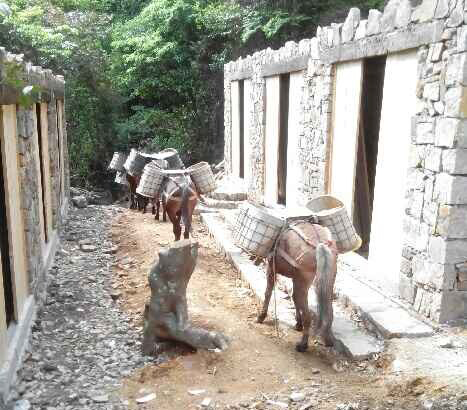 天河区马队运输队