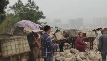 天河区骡马山区运输