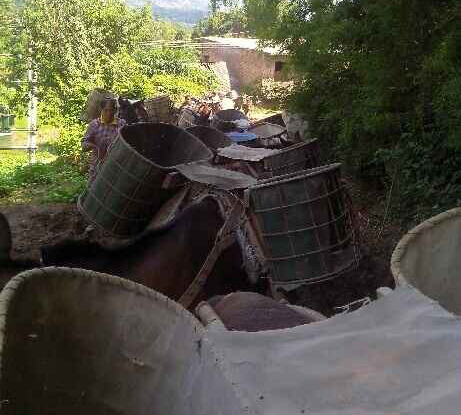 天河区骡马运输队