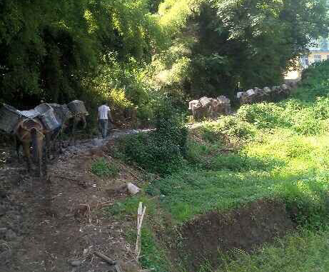 天河区马帮运输队