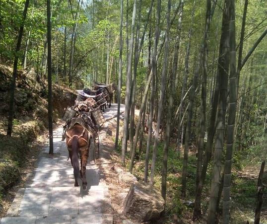 天河区山路马队运输