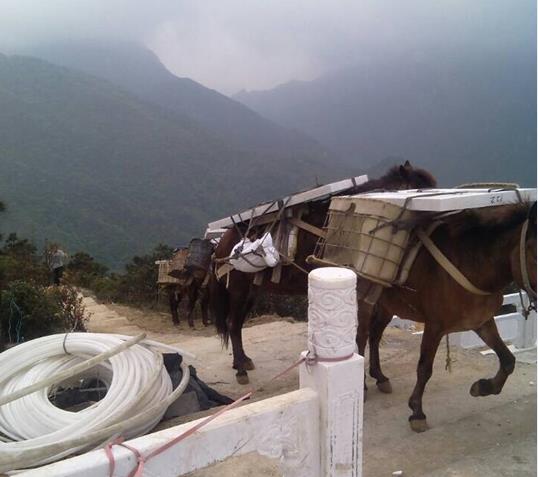 天河区山区马帮运输
